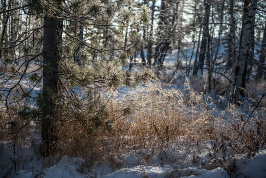 1001164 (a): :2048x1367